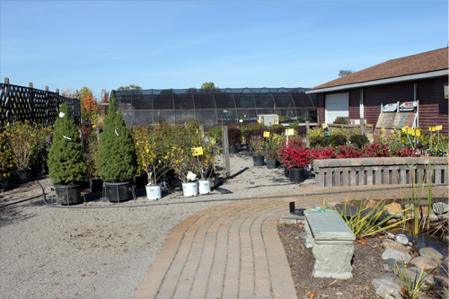 Homepage Slideshow Image-Slider1.png